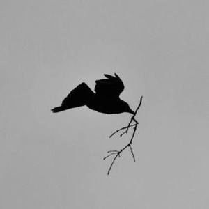 Meet your Posher, Jeff